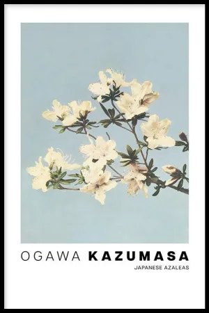 Ogawa Kazumasa - Japanese Azaleas